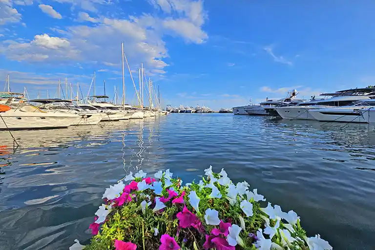 Camille Rayon marina in Golfe Juan Camille Rayon marina in Golfe Juan